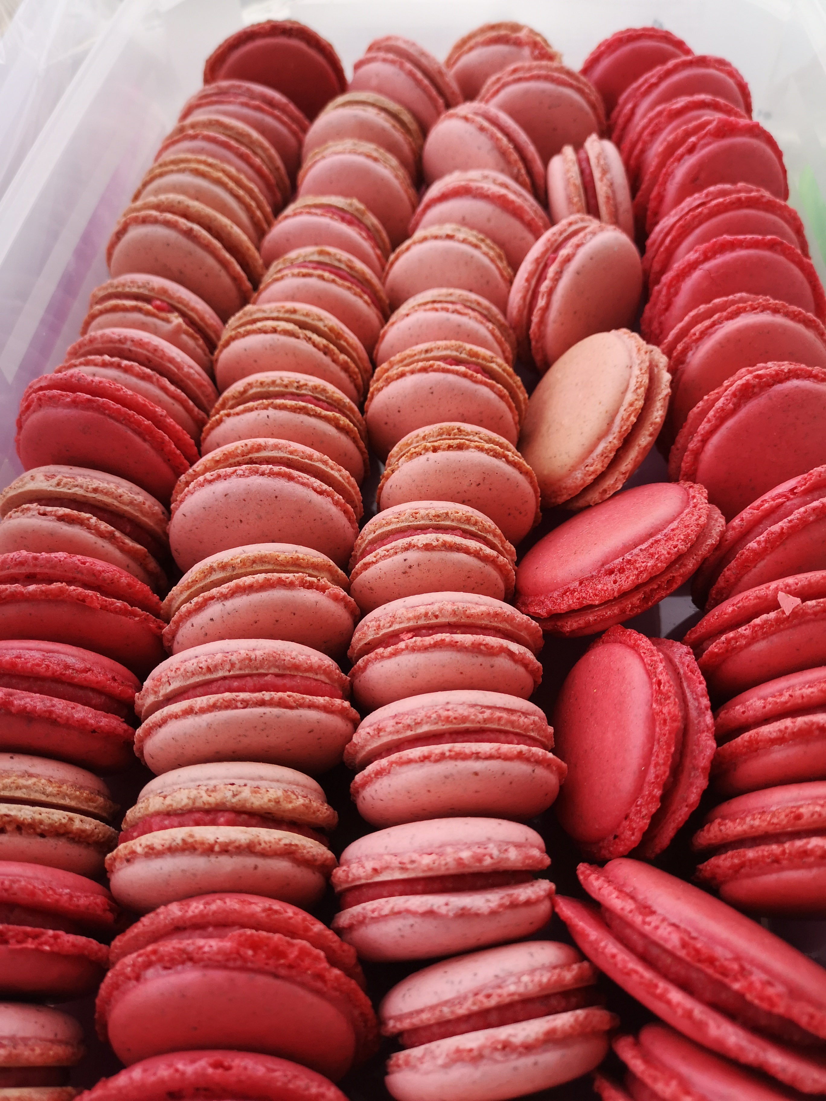 Macaron (több ízben)